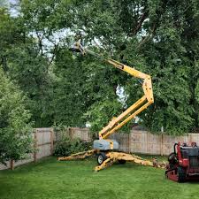 Best Lawn Mowing  in Peekskill, NY