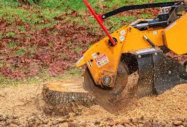 Best Seasonal Cleanup (Spring/Fall)  in Peekskill, NY