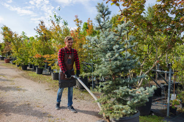 Best Tree Mulching  in Peekskill, NY