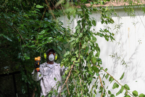 Best Weed Control  in Peekskill, NY